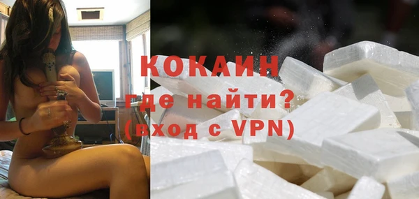 spice Каменка