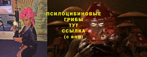 spice Каменка