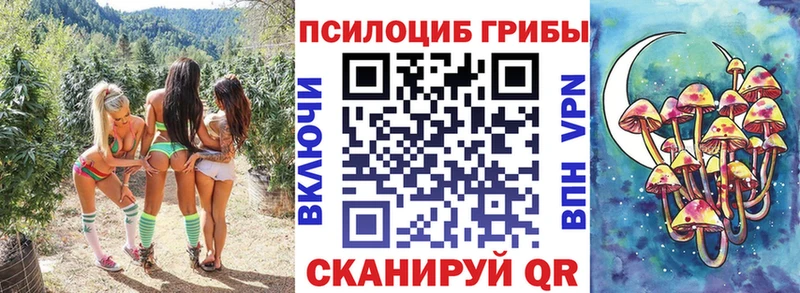 Псилоцибиновые грибы Psilocybe  Пенза 